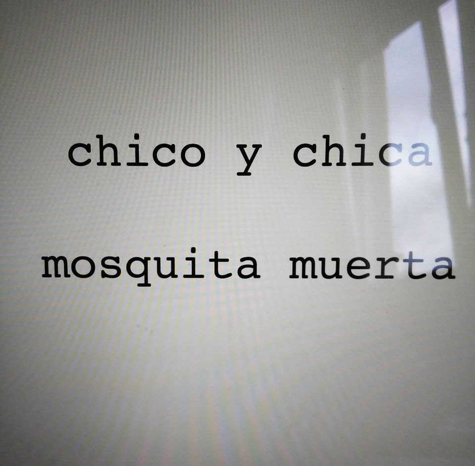 Chico y Chica