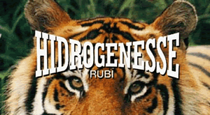 VIDEO DE "Disfraz de tigre"