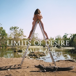 SMALL BLACK. Limits of desire, nº88 Popout de 2013