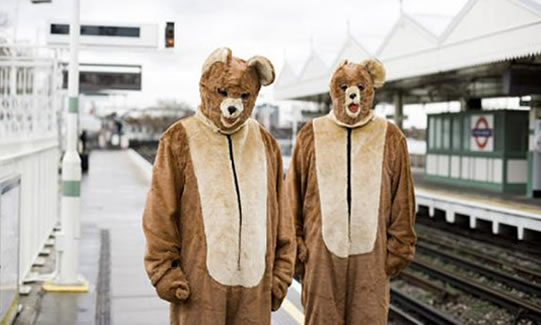 The 2 bears