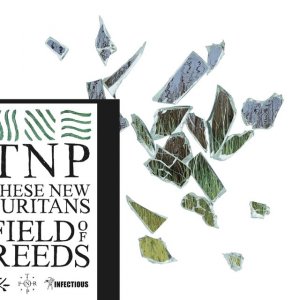 THESE NEW PURITANS. Field of Reeds, nº41 Popout de 2013