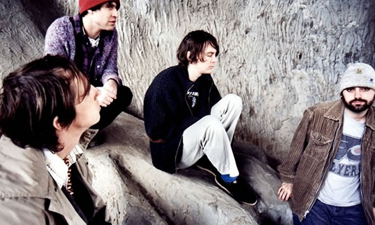 Animal collective