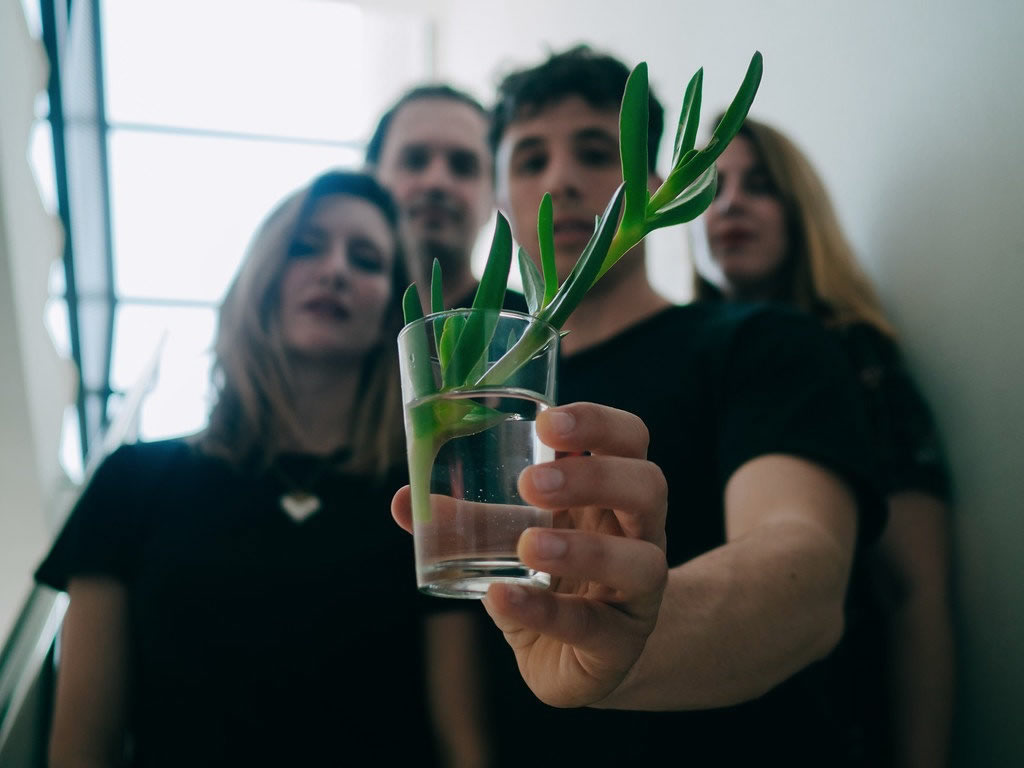 foto de CASI REPTIL