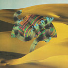 DJANGO DJANGO. Django Django, nº60 Popout de 2011