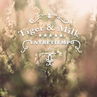 Entretiempo de TIGER AND MILK