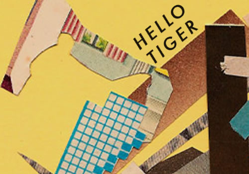 foto de HELLO TIGER