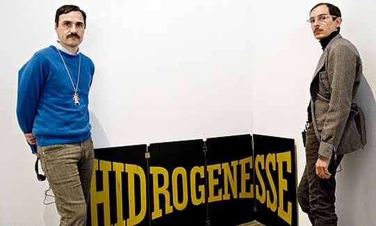 Hidrogenesse