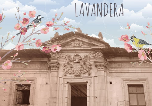 LAVANDERA