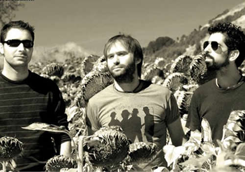 foto de Little Indian Rabbits