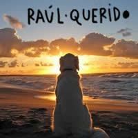 RAÚL QUERIDO. Matinal