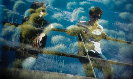 MGMT