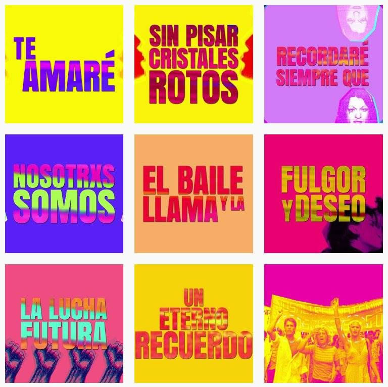 foto de Nosotrxs somos