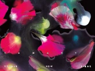 TAMARYN. Tender new Signs, nº65 Popout de 2012