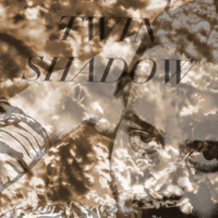 TWIN SHADOW. Forget, n5 Popout de 2010