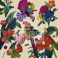 WASHED OUT. Paracosm, nº39 Popout de 2013