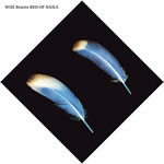 WILD BEASTS