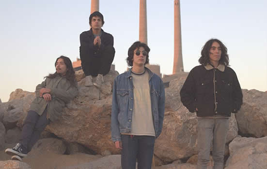 foto de The Zephyr Bones